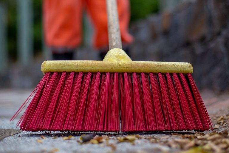 The Eco-Friendly Revolution: How House Cleaning Services are Going Green